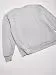 Hanes Men's EcoSmart Sweatshirt, Light Steel, Large