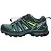 Salomon Women's X Ultra 3 GTX Hiking Shoes, ARTIC/Darkest Spruce/Sunny Lime, 7.5