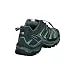 Salomon Women's X Ultra 3 GTX Hiking Shoes, ARTIC/Darkest Spruce/Sunny Lime, 7.5