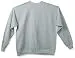 Hanes Men's EcoSmart Sweatshirt, Light Steel, Large