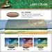 Maui Jim Baby Beach Aviator Sunglasses, Gold Frame/HCL Bronze Lens, One Size