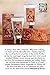 Pre de Provence No. 63 Men's Shower Gel, Aromatic, Warm, & Spicy...