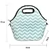 Kaptron Lunch Bag, Thick insulated Lunch Tote Lunch Box Bag with Shoulder...