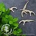 The Humble Co. Natural Dental Floss Picks (200 Count) - Vegan, Eco...
